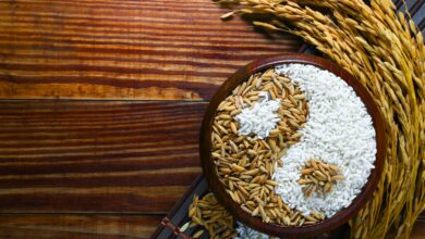 Photo of Essentials of Traditional Chinese Medicine: A Holistic Approach to Health