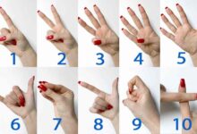 Photo of Gestures to identify counting