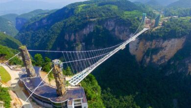 Photo of Experience the Thrills: China’s Amazing Bailong Elevator and Exciting Bungee Jumps