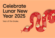 Photo of Little Chinese New Year 2025: Traditions and Preparations for the Year of the Snake