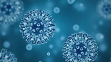 Photo of Rising Concern: Human Metapneumovirus Outbreak in China